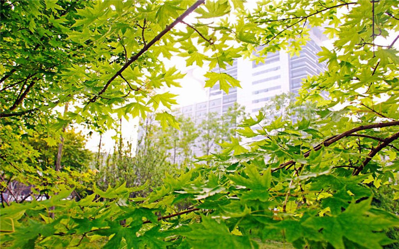 河南理科考生591分能考上中国石油大学（华东）勘查技术与工程