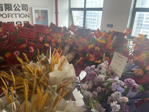 湖南君标工程检测有限公司开业发布会暨揭牌仪式开云kaiyun官方网站成功举办(图8)